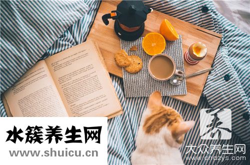 平安樹擺放禁忌