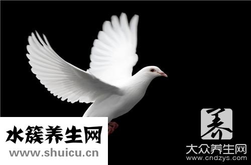 什么人不能喝鴿子湯