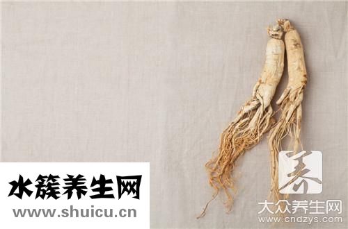 鮮人參效果最好