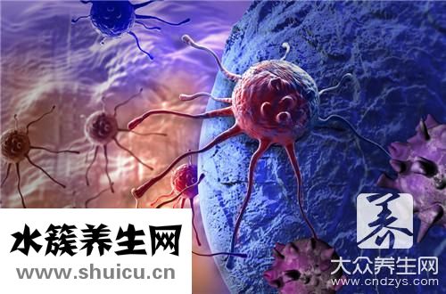 洋蔥不能和什么一起