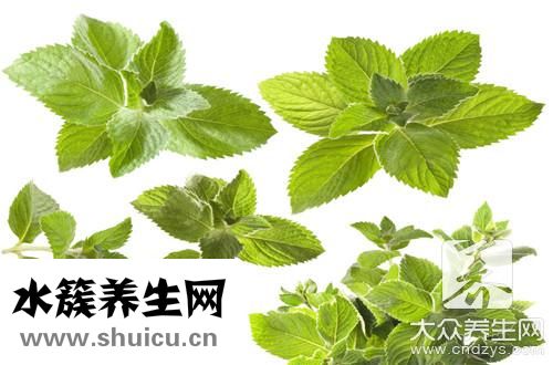 薄荷泡水喝有什么好處