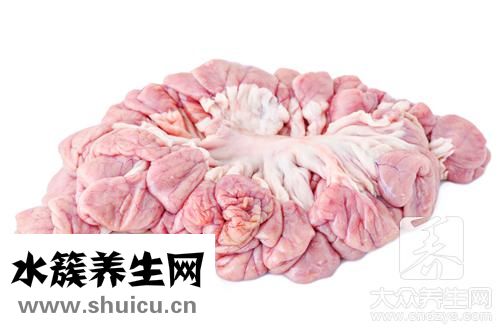 豬小腸法大全