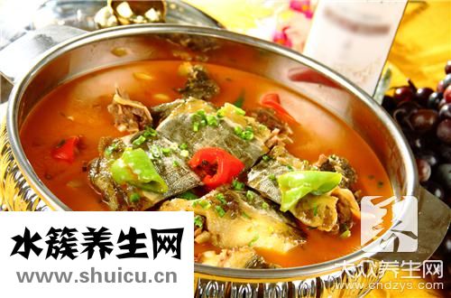 小鰱魚(yú)