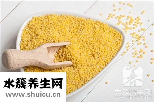 小米跟煮粥最營養(yǎng)