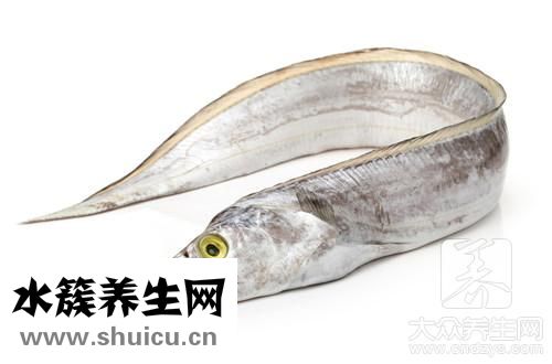 海魚營養價值