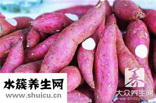 紫薯是轉基因食品嗎