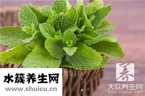 荷葉和搭配最減肥