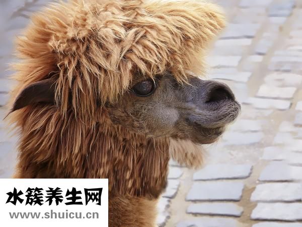 血型性格特點(diǎn)