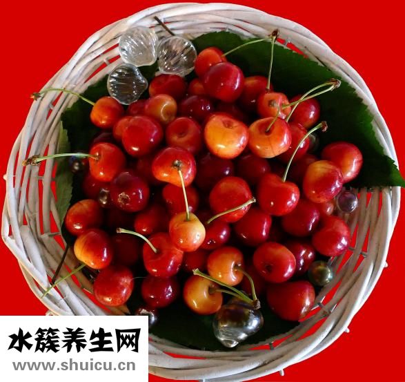 怎樣護肝養(yǎng)肝