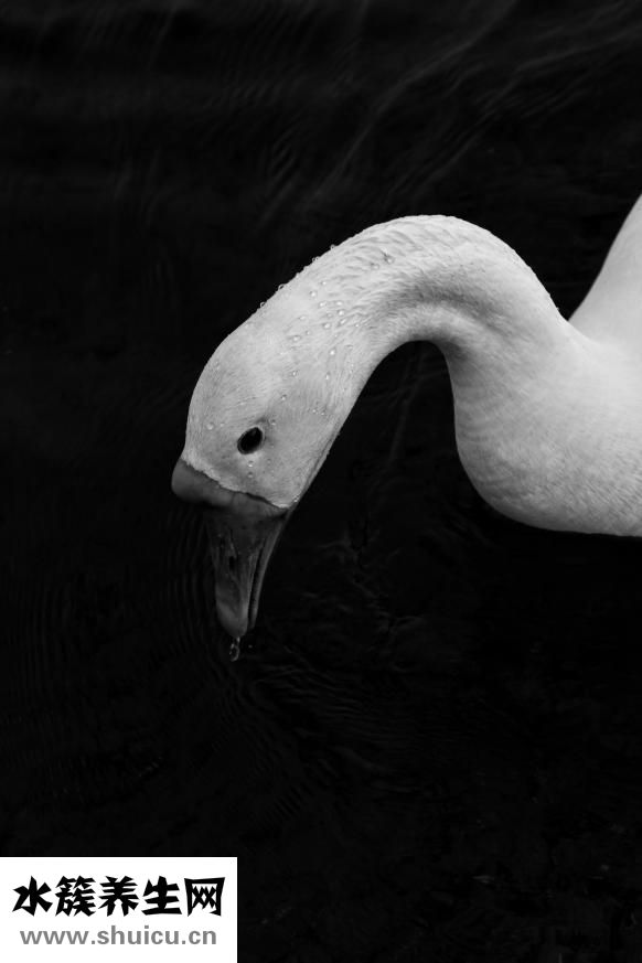 手術拆線痛不痛