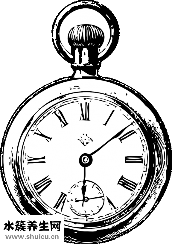 陰道實(shí)物圖