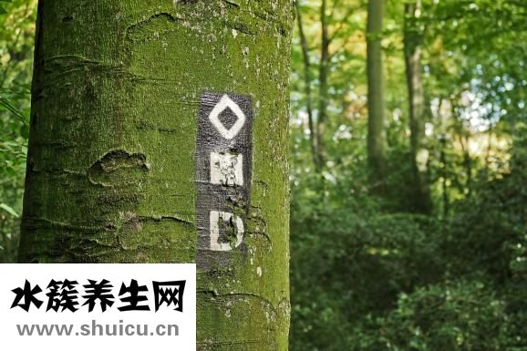 核輻射對人的傷害