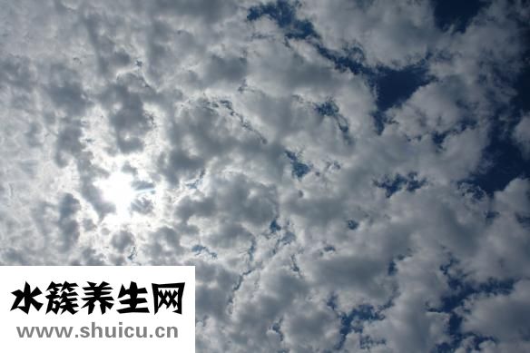 纈沙坦氨氯地平