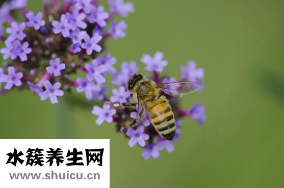 下巴不對(duì)稱