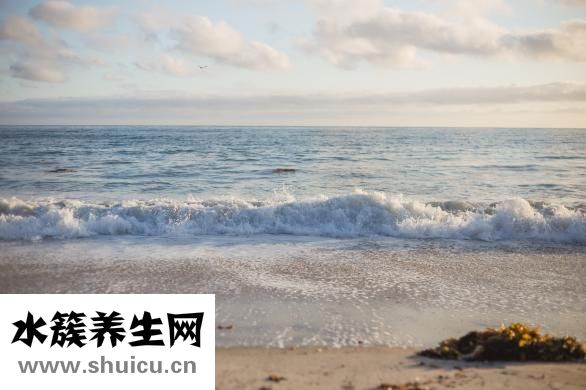 經期能吃海帶嗎