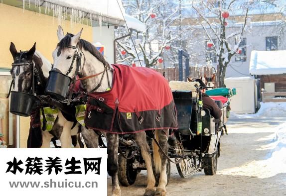 單核細胞計數偏低