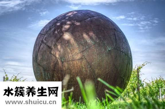 鐵劑服用注意事項