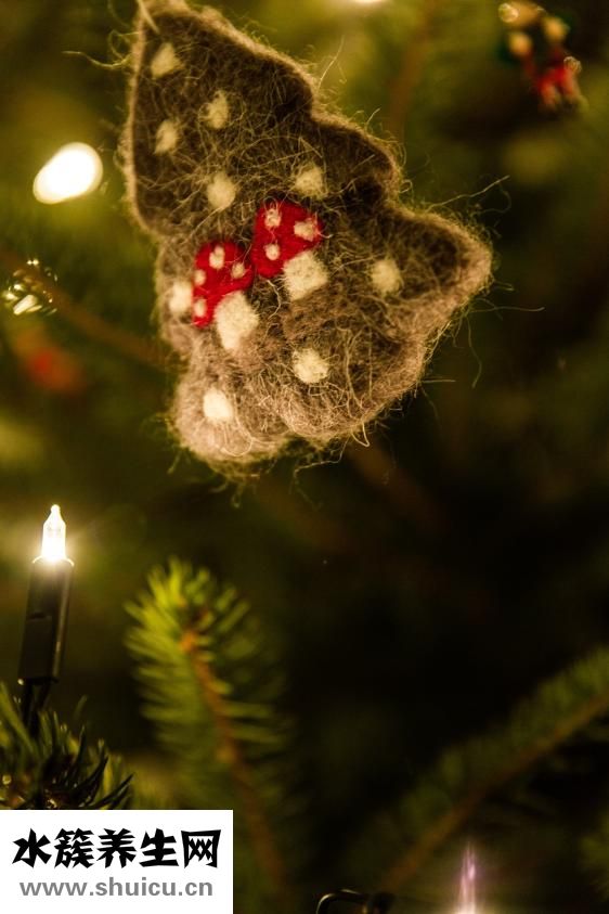 小細胞低色素貧血