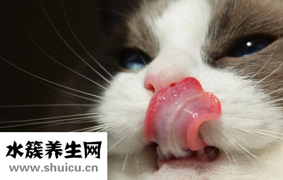 為什么會咬到舌頭