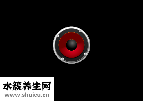 聲音嘶啞吃什么藥