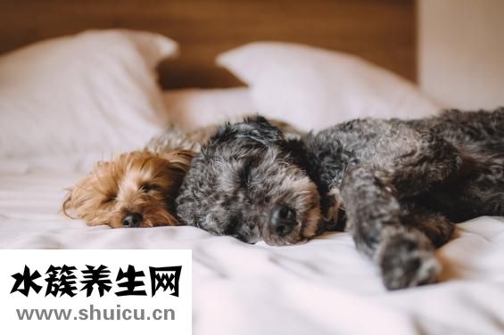 心絞痛用什么藥最好