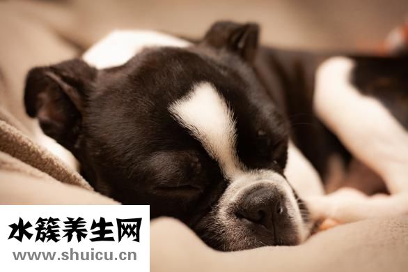 膝蓋疼怎么回事