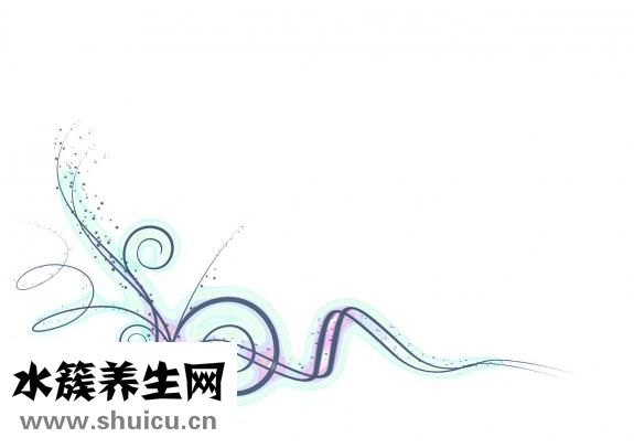 卷心菜怎么做好吃