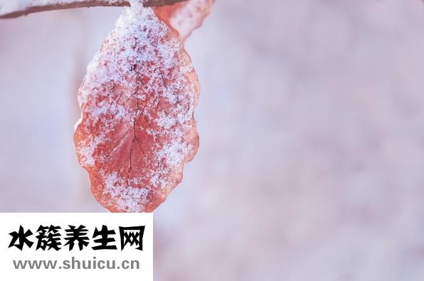 血小板低的危害