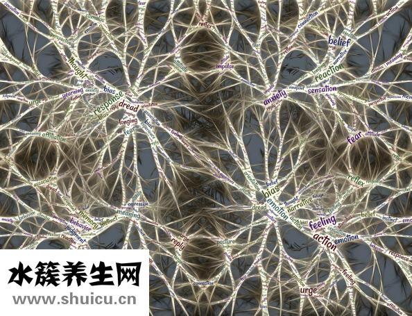 葉酸有什么功效