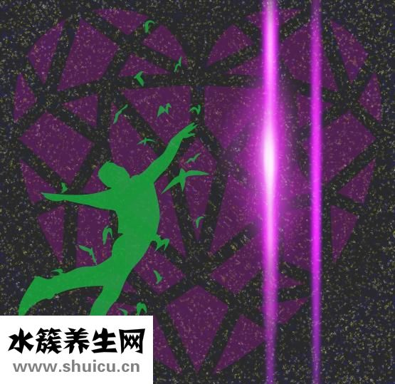 心室早博什么意思