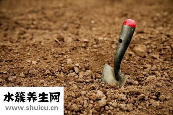 下牙槽神經阻滯麻醉