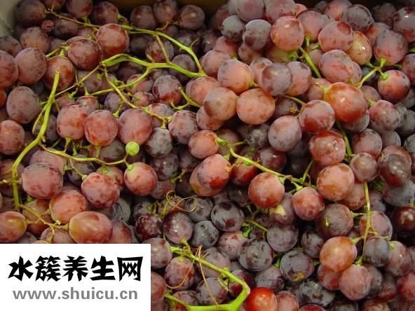 提子和葡萄的區別