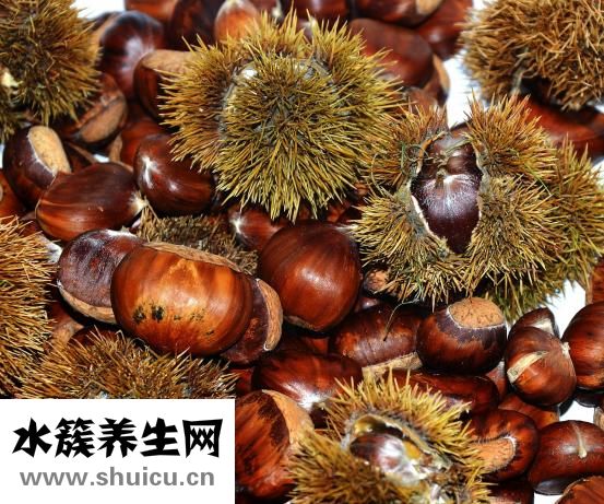 小腸包括哪幾部分