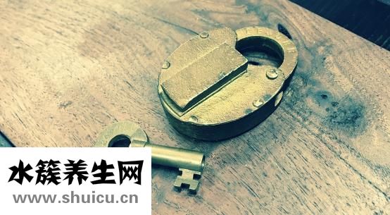 恥骨是哪個部位