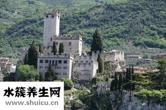 鹽酸達泊西汀片