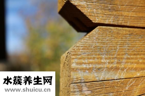 紅豆的功效與作用