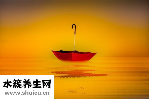 芋頭的功效與作用