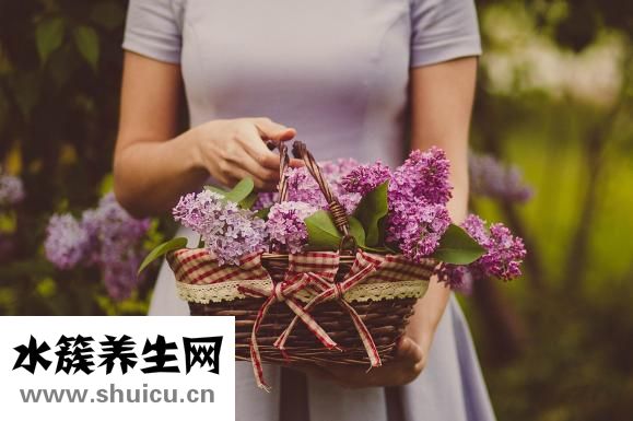 龜苓膏的功效與作用