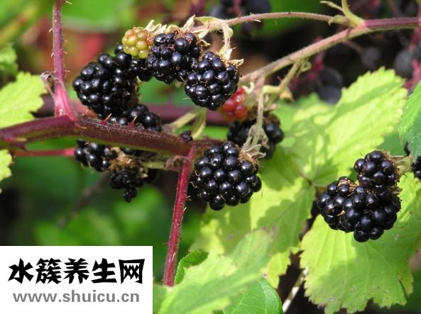 口干舌燥是怎么回事