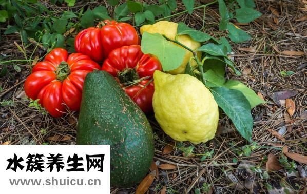 苦瓜的功效與作用