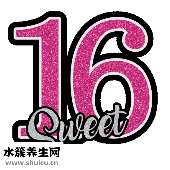 蛋白質含量高的食物