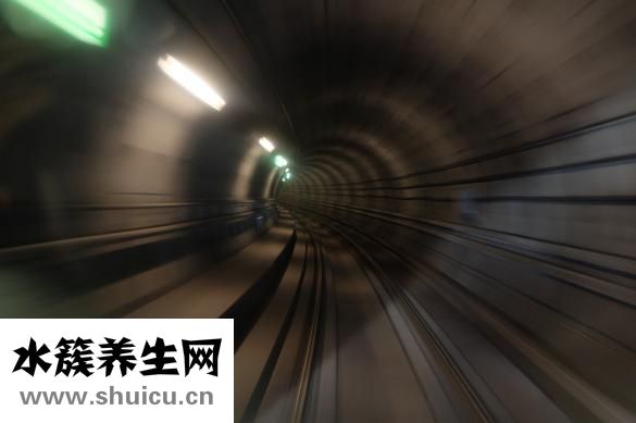 黃芩的功效與作用