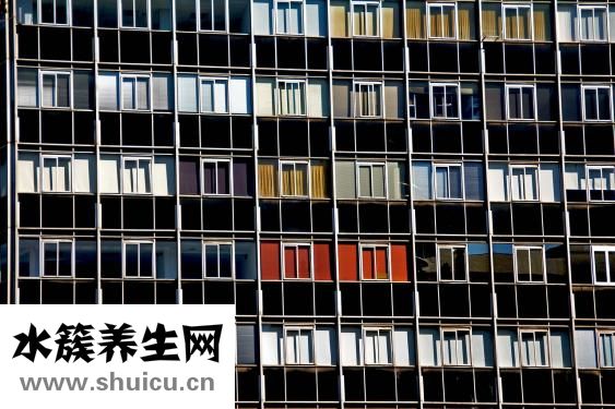 心臟在左邊還是右邊