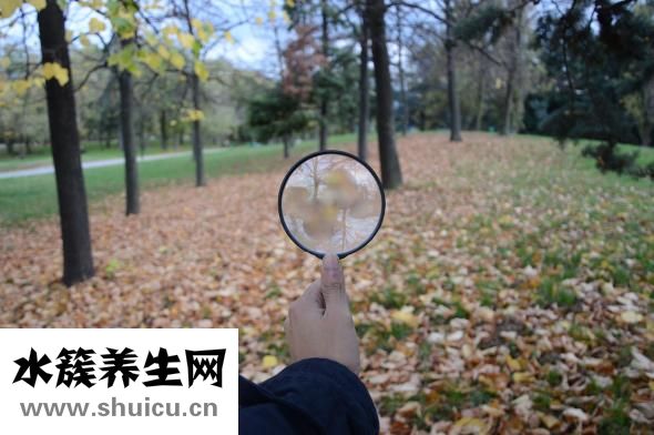 心臟在左邊還是右邊