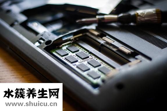 黃柏的功效與作用