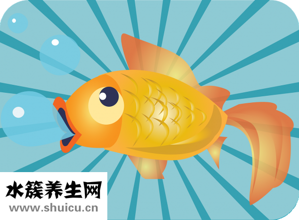 藍莓的功效與作用