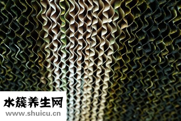 豆?jié){的做法和配方