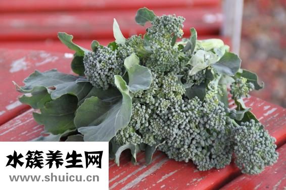 吃什么長頭發(fā)