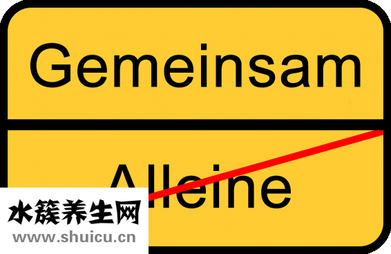 雞內金的功效與作用