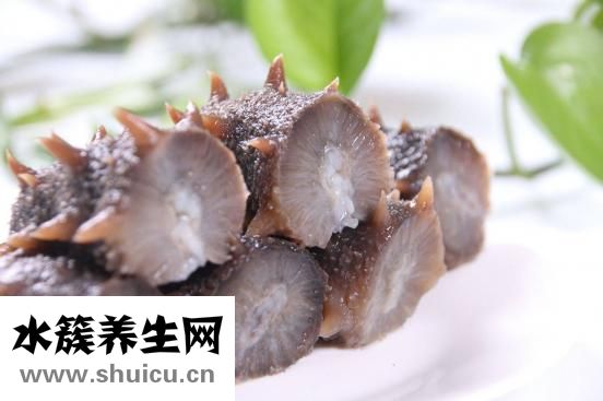 海參的功效與作用